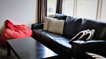 Smart TV, fireplace, books