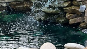 Ein Teich mit einem Wasserfall, umgeben von Steinen und Kieselsteinen.