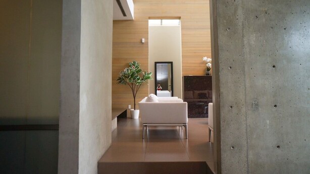 A modern interior with a white sofa, a potted plant, and a fireplace. - Luxury House (Vancouver)