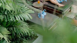 Eine Person sitzt an einem Glastisch in einem üppigen Garten, umgeben von verschiedenen Pflanzen und einem kleinen Tisch mit Gegenständen.
