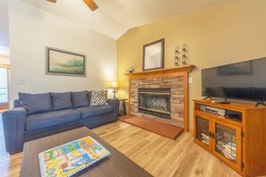 TV, fireplace, DVD player, books