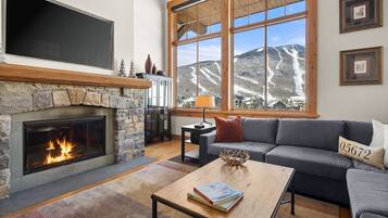 电视、壁炉、立体声音响