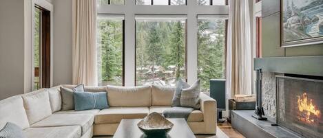 Télévision, cheminée, espaces bureaux