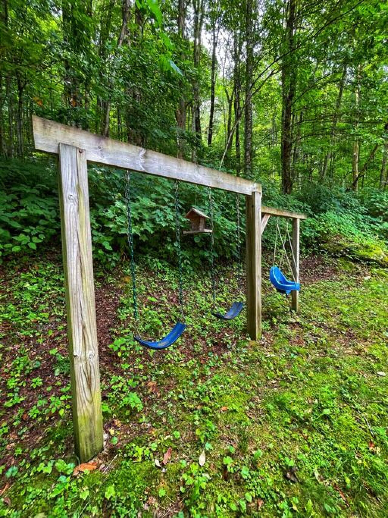 A wooden swing set in a forested area with dense greenery and moss-covered ground.