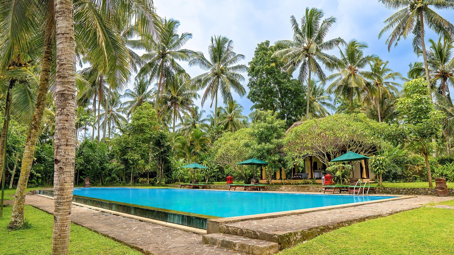 حمّام سباحة خارجي