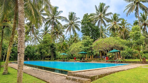A pool surrounded by palm trees and a thatched-roof structure. - Margo Utomo Eco Resort (Kalibaru)