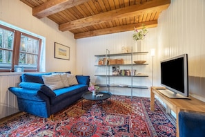 Un salon avec un canapé bleu, un tapis à motifs, un téléviseur et une bibliothèque.