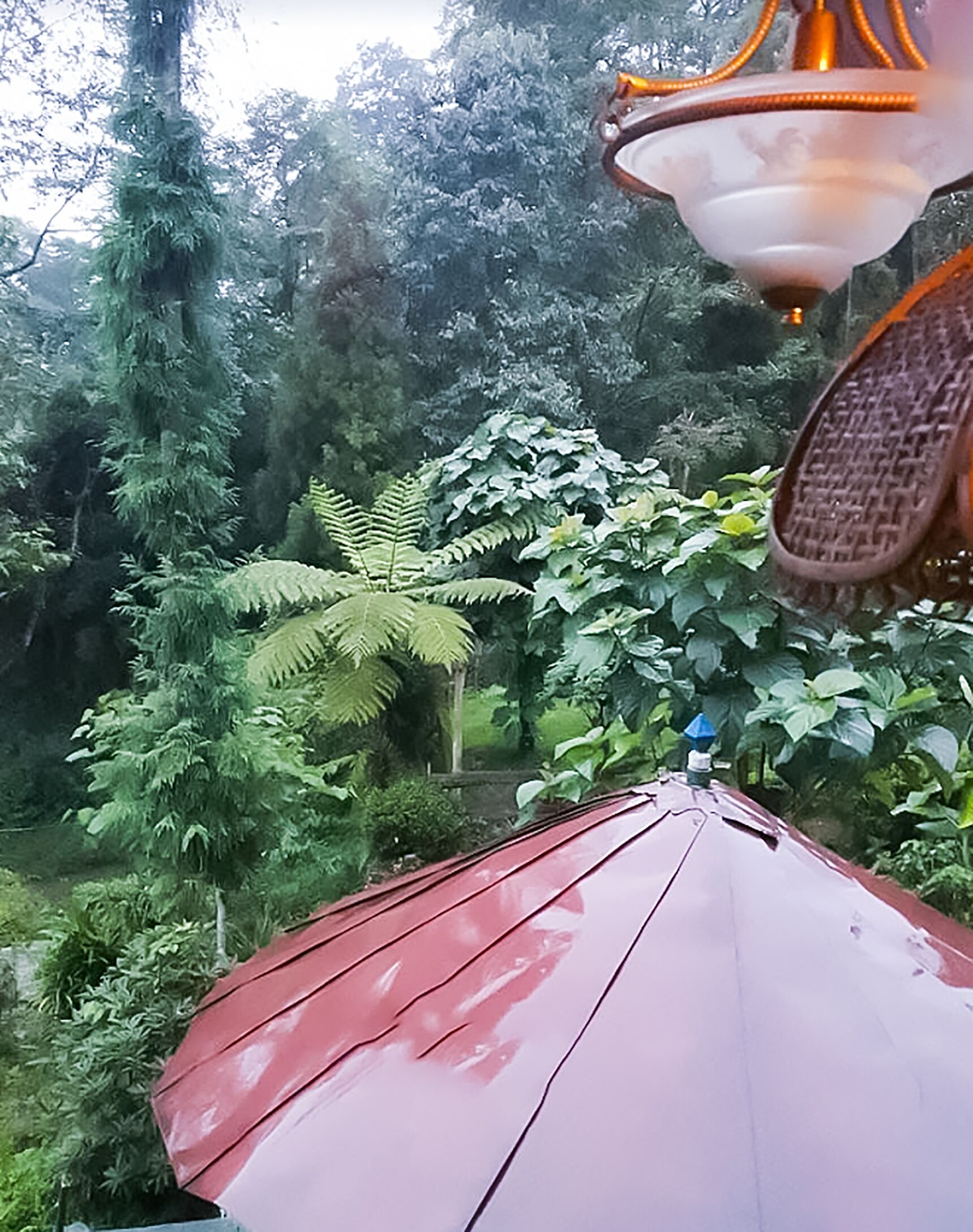 Un paraguas rojo en un jardín exuberante con follaje denso y un farol colgante.