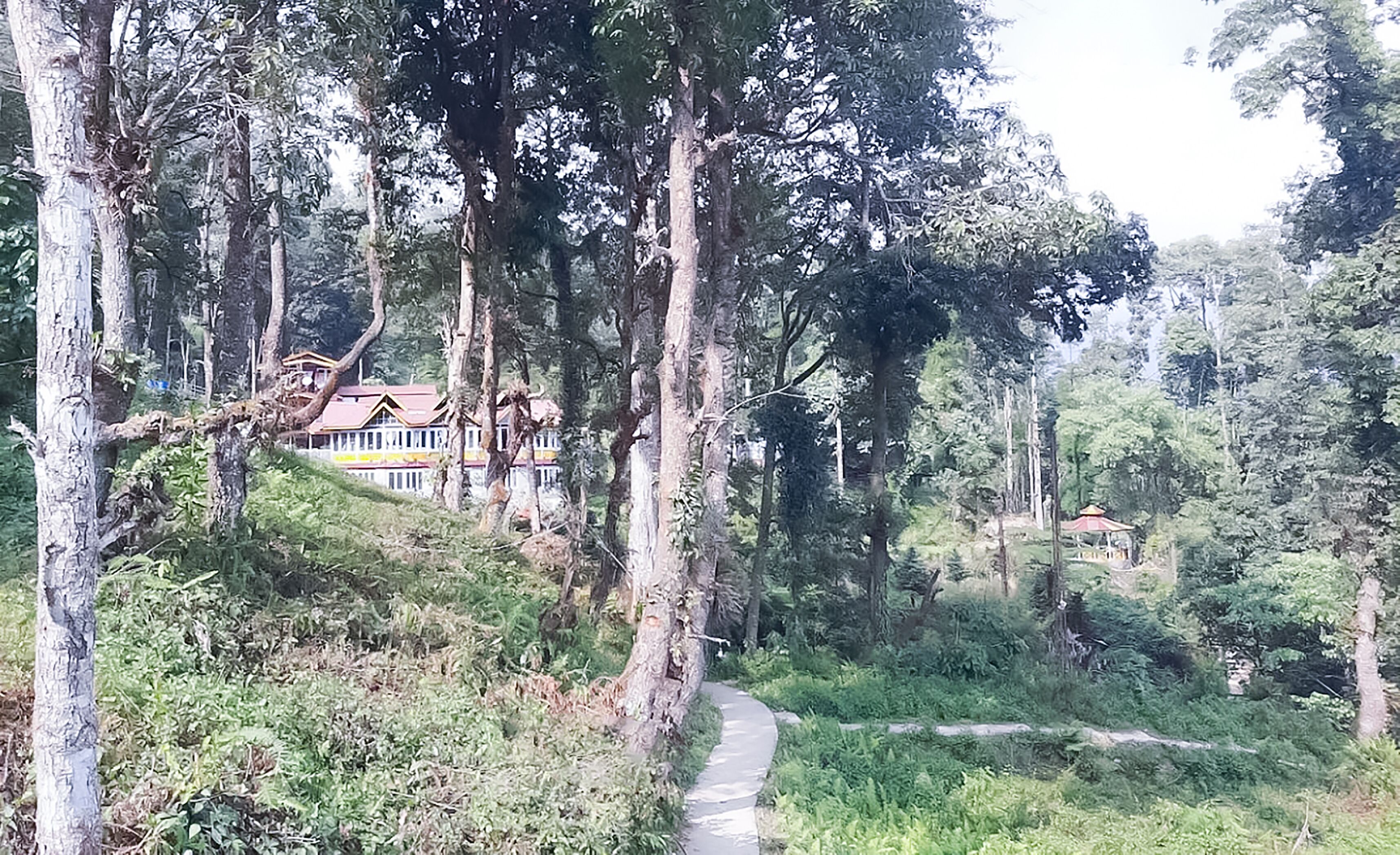 Deluxe Room | Garden view