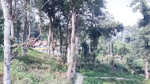 A pathway leading to a building surrounded by trees.