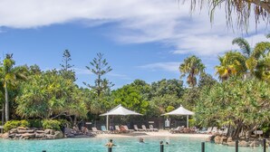 A pool area with lounge chairs and umbrellas, surrounded by tropical vegetation. - The Sand Resort Kingscliff - Studio Apt (Tweed)