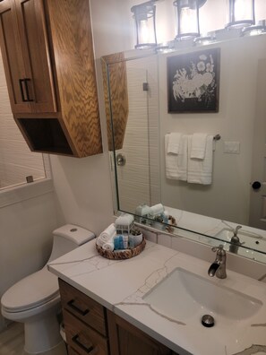 Hair dryer, towels, soap, shampoo - Edinburg suite close to Bert Ogden arena (Edinburg)