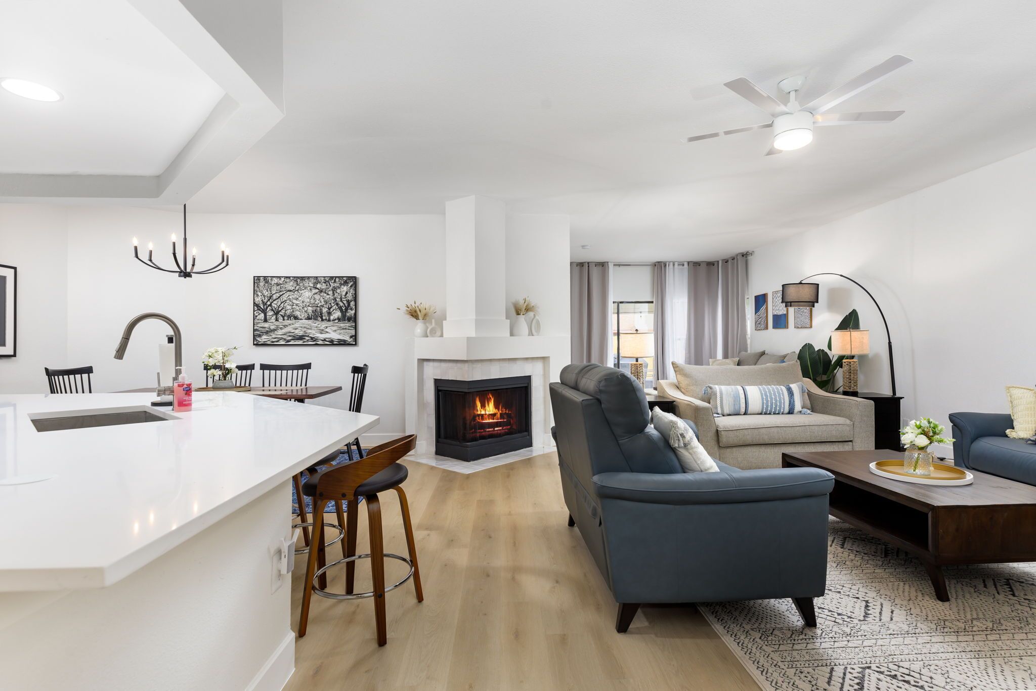 Smart TV, fireplace, books, music library