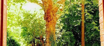 La Scierie