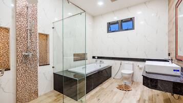 Shower, hair dryer, towels, toilet paper