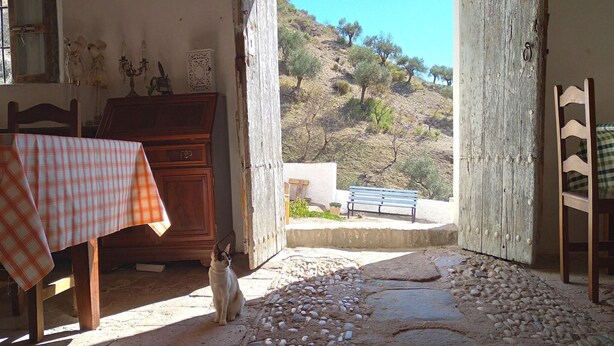 Una stanza con pavimento in pietra, un tavolo di legno con tovaglia a scacchi, un armadietto in legno e un gatto seduto sul pavimento.