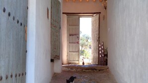 Un corridoio stretto con un gatto, una porta rustica e vista sull'esterno.