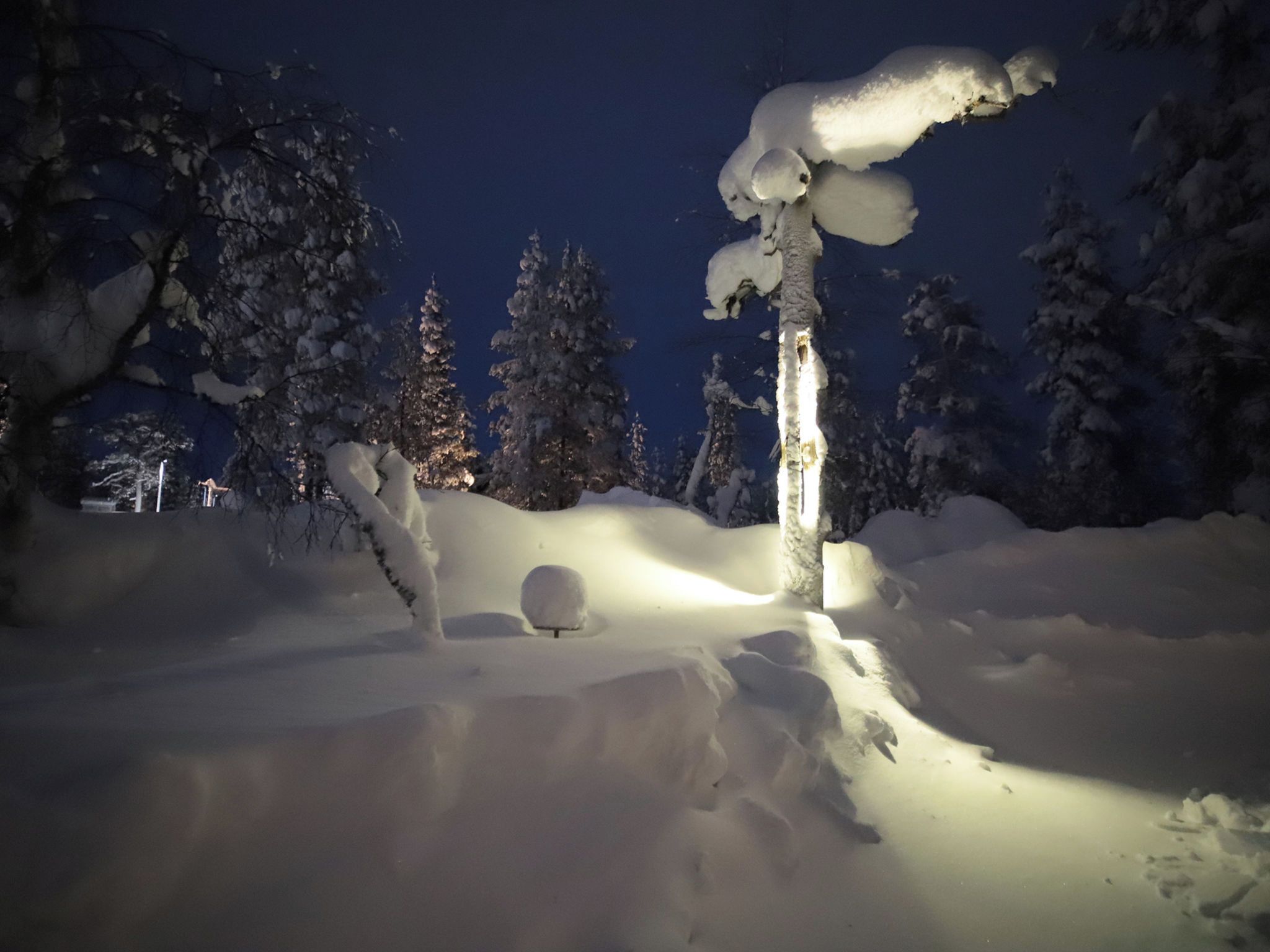 A snow-covered landscape at night with a snow-covered tree and a snow-covered rock.