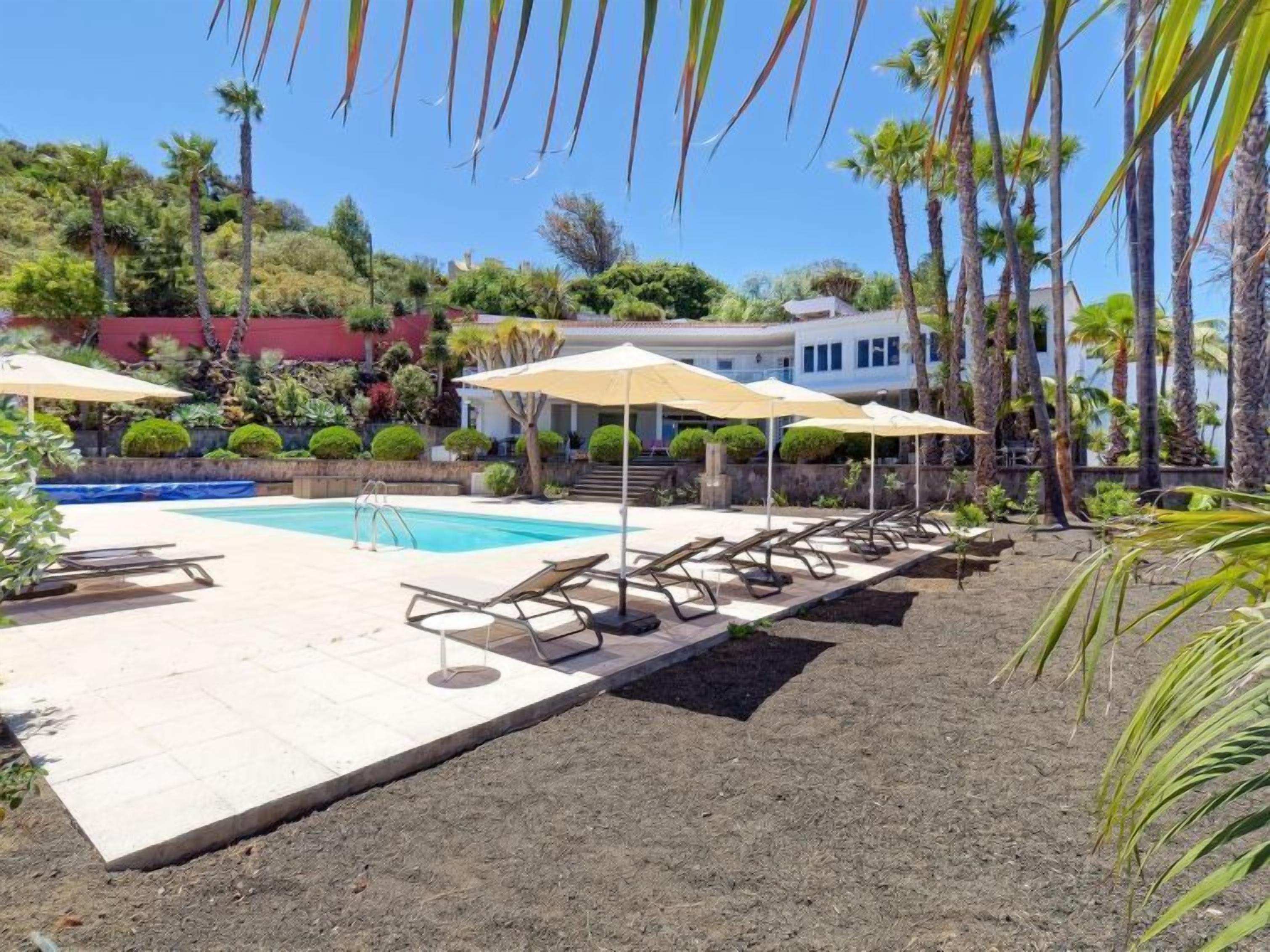 Un área de piscina con sillones de descanso y sombrillas, rodeada de palmeras y un edificio al fondo.