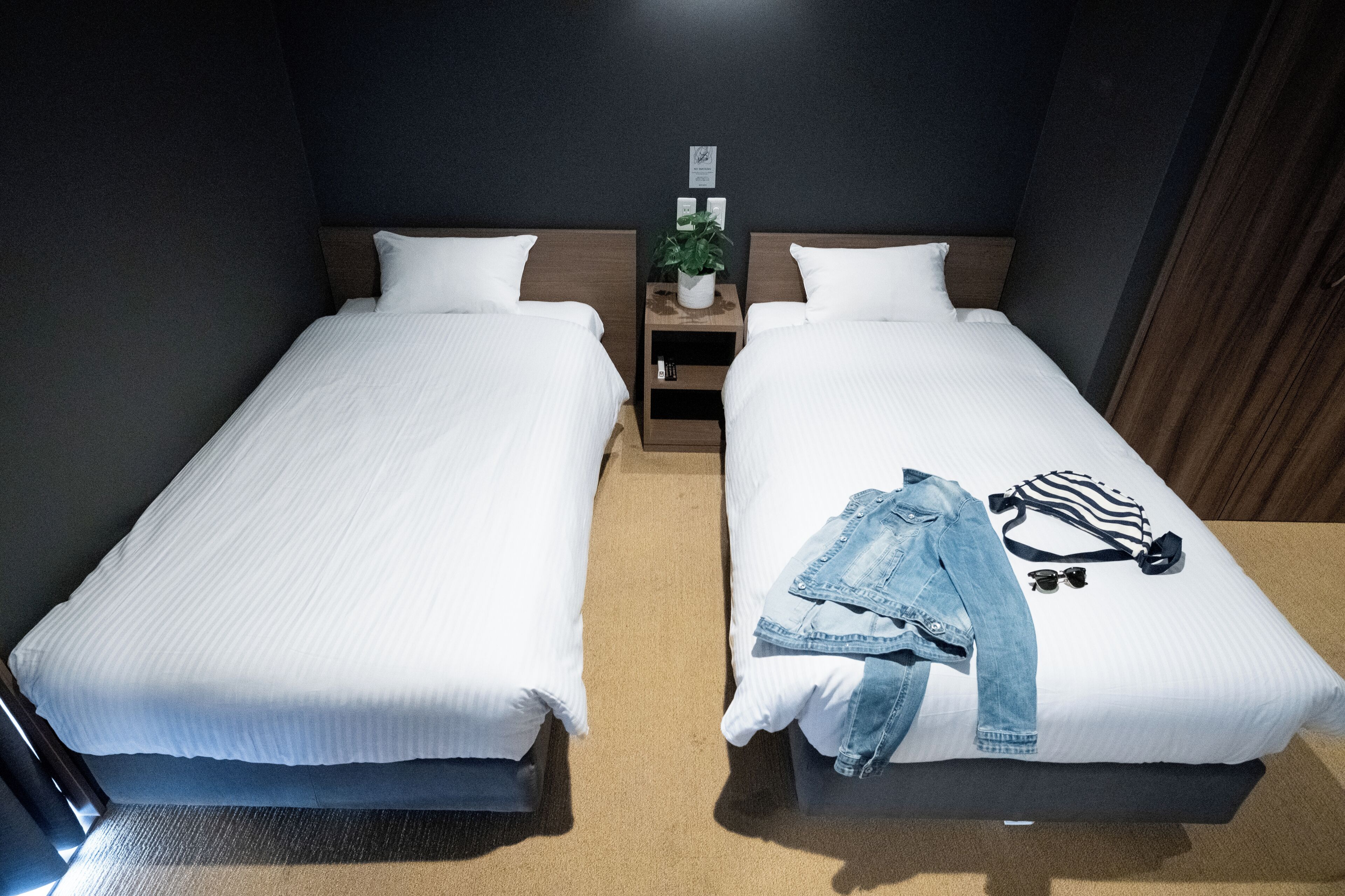 Two single beds with white linens, a nightstand with a plant, and a small shelf.