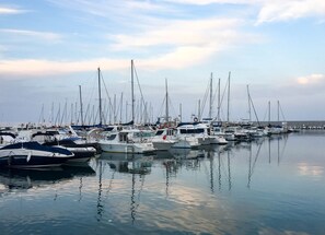 Marina