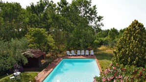 A rectangular swimming pool with a tiled deck, surrounded by lush greenery and trees. - Villa Perla - Homelike Villas (Reggello)