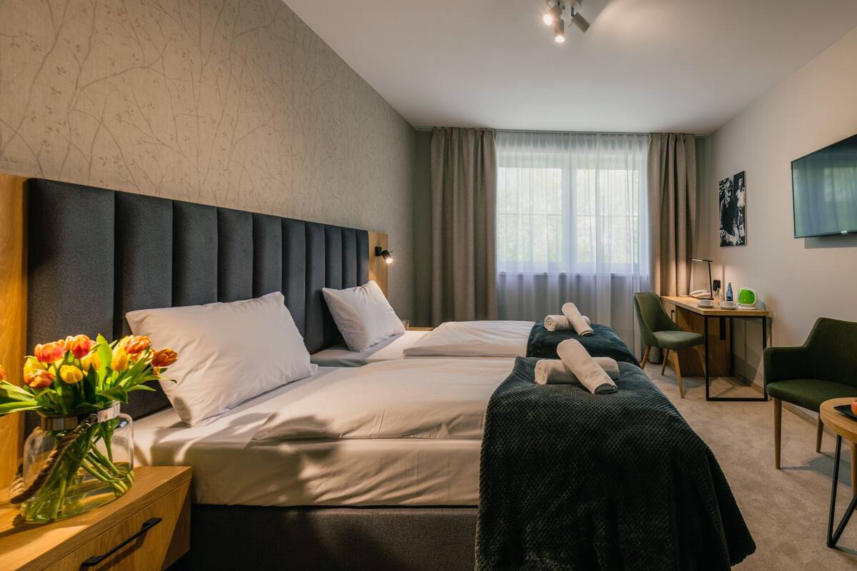 A hotel room with a large bed, a desk, a chair, and a TV.