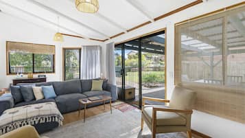 Una televisión, videojuegos, libros