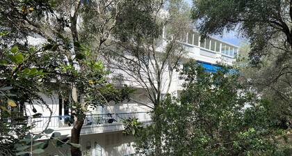 Charming apart in Nice most exclusive area,forest view, terrace,parking