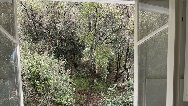 Habitación con un ventanal grande que da a una zona boscosa, una computadora portátil sobre un escritorio y una silla.