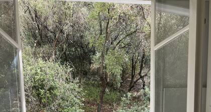 Charming apart in Nice most exclusive area,forest view, terrace,parking