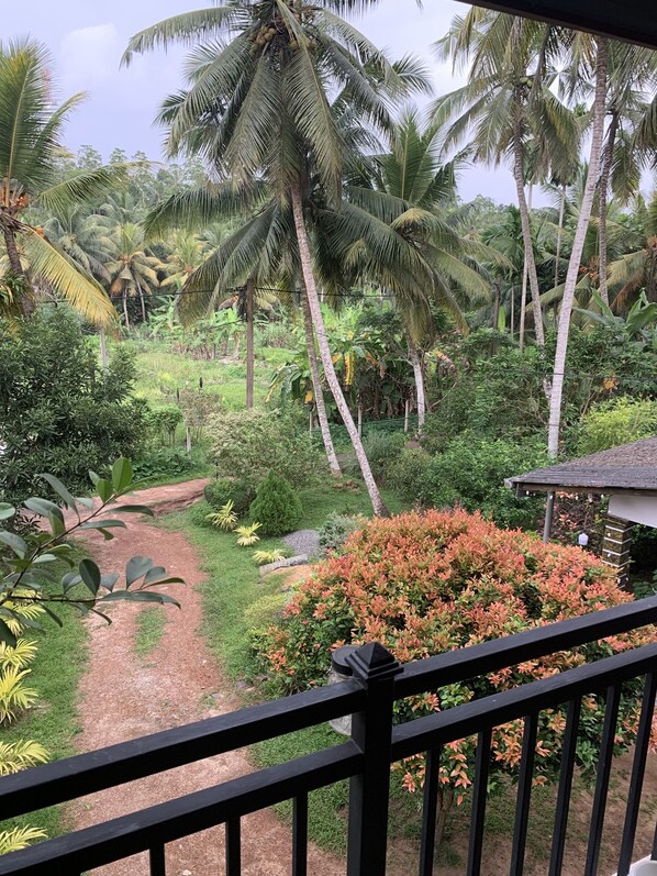 Property grounds - We  are here to make you happy  (Kalutara)