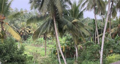 We are here to make you happy