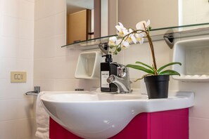 Shower, hair dryer, bidet, towels