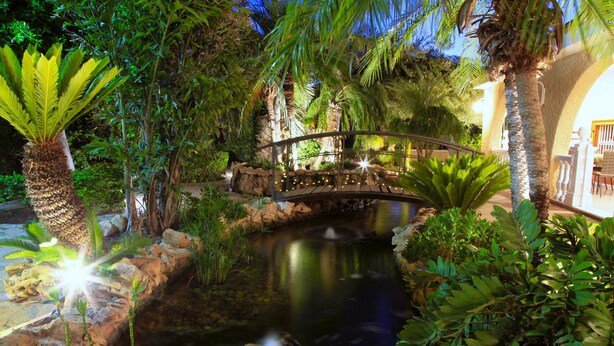 Un jardín tranquilo con un estanque pequeño, un puente y abundante vegetación.