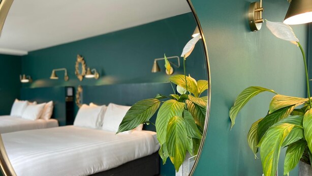 Ein modernes Schlafzimmer mit einem großen Bett, einem Spiegel und einer Topfpflanze.
