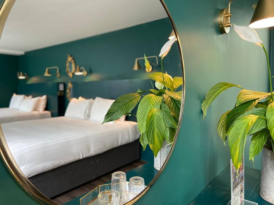 Deluxe Double and Twin Room | Blackout drapes, free WiFi