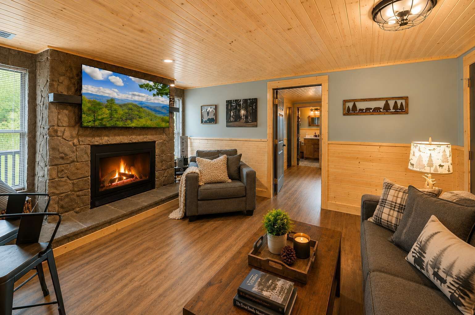 TV, fireplace, offices
