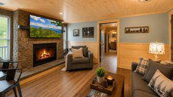 TV, fireplace, offices