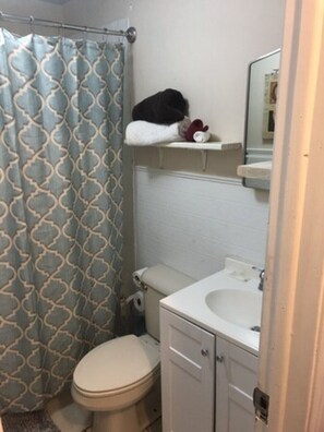 Hair dryer, towels, soap, shampoo - Spencerville Center House (Tallahassee)