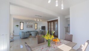 Panoramic Villa | Living area