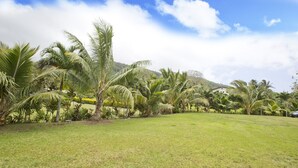 A grassy area with palm trees and a house in the background. - Muri Homeland Villa N2 (Ngatangiia District)