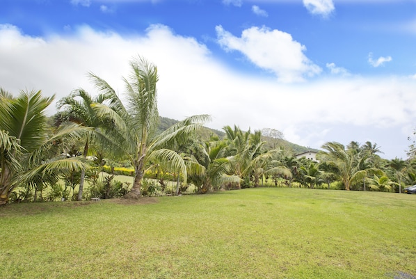 Property grounds - Muri Homeland Villa N2 (Ngatangiia District)
