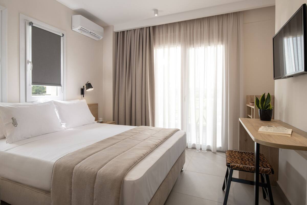 A hotel room with a bed, a desk, a chair, a TV, and a potted plant.