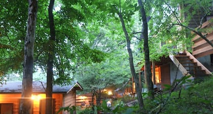 Woodburning stove private authentic woodburnin / Minamitsurugun Yamanashi