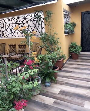 テラス / パティオ