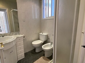 Shower, hair dryer, bidet, towels