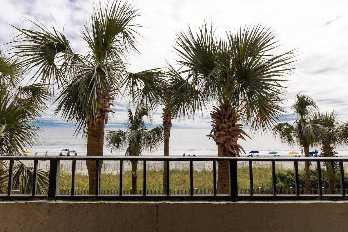 Imagem do perfil do anfitrião