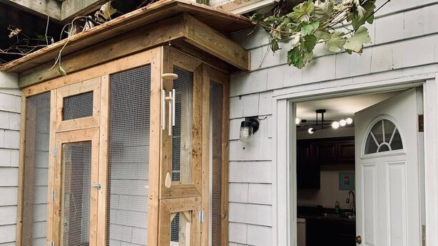 Een houten vogelhuisje aan een gevel, een witte deur, en een keuken met kastjes en een spoelbak.