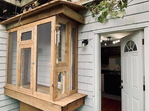A wooden birdhouse attached to a house, a white door, and a kitchen area with cabinets and a sink.